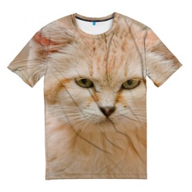 Мужская футболка 3D с принтом Рыжий кот в Санкт-Петербурге, 100% полиэфир | прямой крой, круглый вырез горловины, длина до линии бедер | грустный | добрый | животное | киса | киска кися | кот | котенок | котэ | кошка | красивый | лапа | лапка | ласковый | милый | моська | мурлыка | прикольный | смешной | унылый | усатый | шерсть