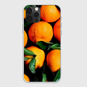 Чехол для iPhone 12 Pro Max с принтом Мандаринчики в Санкт-Петербурге, Силикон |  | Тематика изображения на принте: зелень | оранжевый | цитрус | яркий
