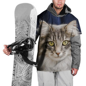 Накидка на куртку 3D с принтом Серый кот в Санкт-Петербурге, 100% полиэстер |  | грустный | добрый | животное | киса | киска кися | кот | котенок | котэ | кошка | красивый | лапа | лапка | ласковый | милый | моська | мурлыка | прикольный | смешной | унылый | усатый | шерсть