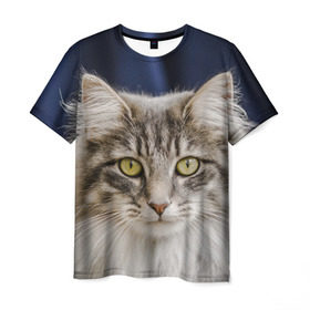 Мужская футболка 3D с принтом Серый кот в Санкт-Петербурге, 100% полиэфир | прямой крой, круглый вырез горловины, длина до линии бедер | грустный | добрый | животное | киса | киска кися | кот | котенок | котэ | кошка | красивый | лапа | лапка | ласковый | милый | моська | мурлыка | прикольный | смешной | унылый | усатый | шерсть