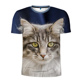 Мужская футболка 3D спортивная с принтом Серый кот в Санкт-Петербурге, 100% полиэстер с улучшенными характеристиками | приталенный силуэт, круглая горловина, широкие плечи, сужается к линии бедра | грустный | добрый | животное | киса | киска кися | кот | котенок | котэ | кошка | красивый | лапа | лапка | ласковый | милый | моська | мурлыка | прикольный | смешной | унылый | усатый | шерсть