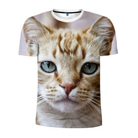 Мужская футболка 3D спортивная с принтом Рыжий кот, зеленые глаза в Санкт-Петербурге, 100% полиэстер с улучшенными характеристиками | приталенный силуэт, круглая горловина, широкие плечи, сужается к линии бедра | Тематика изображения на принте: грустный | добрый | животное | киса | киска кися | кот | котенок | котэ | кошка | красивый | лапа | лапка | ласковый | милый | моська | мурлыка | прикольный | смешной | унылый | усатый | шерсть