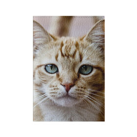 Обложка для паспорта матовая кожа с принтом Рыжий кот, зеленые глаза в Санкт-Петербурге, натуральная матовая кожа | размер 19,3 х 13,7 см; прозрачные пластиковые крепления | Тематика изображения на принте: грустный | добрый | животное | киса | киска кися | кот | котенок | котэ | кошка | красивый | лапа | лапка | ласковый | милый | моська | мурлыка | прикольный | смешной | унылый | усатый | шерсть