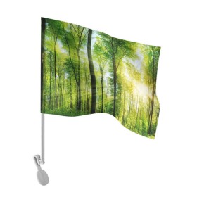 Флаг для автомобиля с принтом Солнечный лес в Санкт-Петербурге, 100% полиэстер | Размер: 30*21 см | деревья | зелень | лес | лето | лучи солнца | солнце | тайга