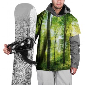 Накидка на куртку 3D с принтом Солнечный лес в Санкт-Петербурге, 100% полиэстер |  | деревья | зелень | лес | лето | лучи солнца | солнце | тайга