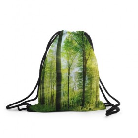 Рюкзак-мешок 3D с принтом Солнечный лес в Санкт-Петербурге, 100% полиэстер | плотность ткани — 200 г/м2, размер — 35 х 45 см; лямки — толстые шнурки, застежка на шнуровке, без карманов и подкладки | деревья | зелень | лес | лето | лучи солнца | солнце | тайга