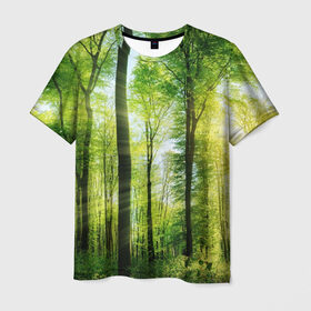 Мужская футболка 3D с принтом Солнечный лес в Санкт-Петербурге, 100% полиэфир | прямой крой, круглый вырез горловины, длина до линии бедер | деревья | зелень | лес | лето | лучи солнца | солнце | тайга