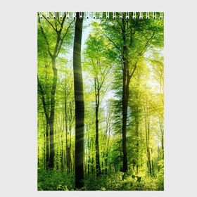 Скетчбук с принтом Солнечный лес в Санкт-Петербурге, 100% бумага
 | 48 листов, плотность листов — 100 г/м2, плотность картонной обложки — 250 г/м2. Листы скреплены сверху удобной пружинной спиралью | деревья | зелень | лес | лето | лучи солнца | солнце | тайга