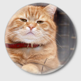 Значок с принтом Рыжий кот в Санкт-Петербурге,  металл | круглая форма, металлическая застежка в виде булавки | Тематика изображения на принте: грустный | добрый | животное | киса | киска кися | кот | котенок | котэ | кошка | красивый | лапа | лапка | ласковый | милый | моська | мурлыка | прикольный | смешной | унылый | усатый | шерсть