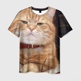 Мужская футболка 3D с принтом Рыжий кот в Санкт-Петербурге, 100% полиэфир | прямой крой, круглый вырез горловины, длина до линии бедер | грустный | добрый | животное | киса | киска кися | кот | котенок | котэ | кошка | красивый | лапа | лапка | ласковый | милый | моська | мурлыка | прикольный | смешной | унылый | усатый | шерсть