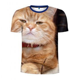 Мужская футболка 3D спортивная с принтом Рыжий кот в Санкт-Петербурге, 100% полиэстер с улучшенными характеристиками | приталенный силуэт, круглая горловина, широкие плечи, сужается к линии бедра | грустный | добрый | животное | киса | киска кися | кот | котенок | котэ | кошка | красивый | лапа | лапка | ласковый | милый | моська | мурлыка | прикольный | смешной | унылый | усатый | шерсть