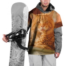 Накидка на куртку 3D с принтом Рыжий кот в Санкт-Петербурге, 100% полиэстер |  | Тематика изображения на принте: грустный | добрый | животное | киса | киска кися | кот | котенок | котэ | кошка | красивый | лапа | лапка | ласковый | милый | моська | мурлыка | прикольный | смешной | унылый | усатый | шерсть
