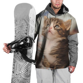 Накидка на куртку 3D с принтом Котенок в Санкт-Петербурге, 100% полиэстер |  | грустный | добрый | животное | киса | киска кися | кот | котенок | котэ | кошка | красивый | лапа | лапка | ласковый | милый | моська | мурлыка | прикольный | смешной | унылый | усатый | шерсть