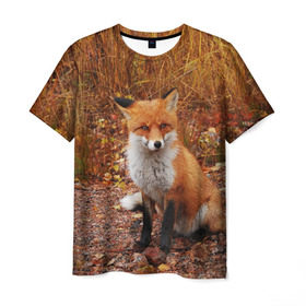 Мужская футболка 3D с принтом Лиса в Санкт-Петербурге, 100% полиэфир | прямой крой, круглый вырез горловины, длина до линии бедер | Тематика изображения на принте: fox | животное | зверь | красивая | лес | лис | лиса | лисенок | лисица | лисичка | мех | патрикеевна | песец | плутовка | прикольная | природа | рыжая | рыжий цвет | сказка | хвост | хитрая | хищник