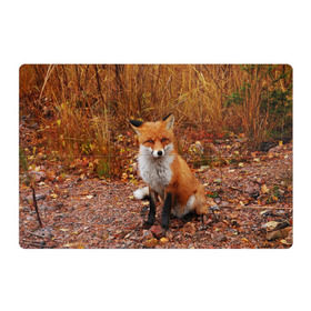 Магнитный плакат 3Х2 с принтом Лиса в Санкт-Петербурге, Полимерный материал с магнитным слоем | 6 деталей размером 9*9 см | fox | животное | зверь | красивая | лес | лис | лиса | лисенок | лисица | лисичка | мех | патрикеевна | песец | плутовка | прикольная | природа | рыжая | рыжий цвет | сказка | хвост | хитрая | хищник