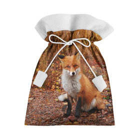 Подарочный 3D мешок с принтом Лиса в Санкт-Петербурге, 100% полиэстер | Размер: 29*39 см | fox | животное | зверь | красивая | лес | лис | лиса | лисенок | лисица | лисичка | мех | патрикеевна | песец | плутовка | прикольная | природа | рыжая | рыжий цвет | сказка | хвост | хитрая | хищник