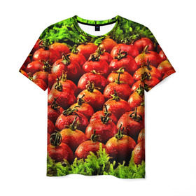 Мужская футболка 3D с принтом Томатик в Санкт-Петербурге, 100% полиэфир | прямой крой, круглый вырез горловины, длина до линии бедер | 3d | еда | зелень | красный | лето | много | овощи | пища | помидор | прикольные | томат | яркие
