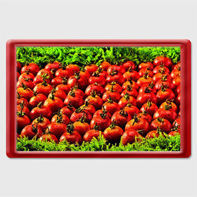 Магнит 45*70 с принтом Томатик в Санкт-Петербурге, Пластик | Размер: 78*52 мм; Размер печати: 70*45 | 3d | еда | зелень | красный | лето | много | овощи | пища | помидор | прикольные | томат | яркие