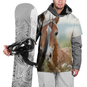 Накидка на куртку 3D с принтом Лошадь в Санкт-Петербурге, 100% полиэстер |  | Тематика изображения на принте: вожжи | голоп | грация | езда | есаул | жеребец | животное | кобыла | кобылица | конь | копыта | копыто | лошадь | пегас | пони | рысак | сбруя | скакун | скачет | скачка | стойло | троя