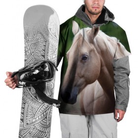 Накидка на куртку 3D с принтом Лошадь в Санкт-Петербурге, 100% полиэстер |  | Тематика изображения на принте: вожжи | голоп | грация | езда | есаул | жеребец | животное | кобыла | кобылица | конь | копыта | копыто | лошадь | пегас | пони | рысак | сбруя | скакун | скачет | скачка | стойло | троя