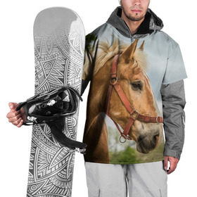 Накидка на куртку 3D с принтом Лошадка в Санкт-Петербурге, 100% полиэстер |  | Тематика изображения на принте: вожжи | голоп | грация | езда | есаул | жеребец | животное | кобыла | кобылица | конь | копыта | копыто | лошадь | пегас | пони | рысак | сбруя | скакун | скачет | скачка | стойло | троя