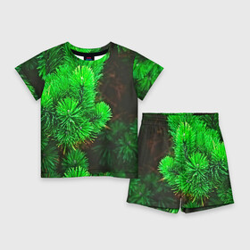 Детский костюм с шортами 3D с принтом Зелёная ель в Санкт-Петербурге,  |  | 3d | ёлка | ель | зелёный | лес | новый год | праздник | природа | текстура | фон