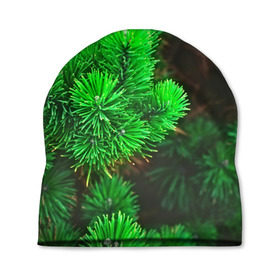 Шапка 3D с принтом Зелёная ель в Санкт-Петербурге, 100% полиэстер | универсальный размер, печать по всей поверхности изделия | 3d | ёлка | ель | зелёный | лес | новый год | праздник | природа | текстура | фон