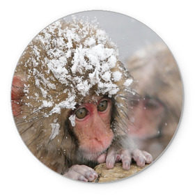 Коврик круглый с принтом Обезьянка и зима в Санкт-Петербурге, резина и полиэстер | круглая форма, изображение наносится на всю лицевую часть | бабуин | гамадрил | гиббон | горилла | гуманоид | дарвин | животное | зоопарк | кинг конг | мартышка | маугли | обезьяна | орангутанг | предок | примат | рожа | хомо сапиенс | шимпанзе