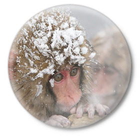 Значок с принтом Обезьянка и зима в Санкт-Петербурге,  металл | круглая форма, металлическая застежка в виде булавки | бабуин | гамадрил | гиббон | горилла | гуманоид | дарвин | животное | зоопарк | кинг конг | мартышка | маугли | обезьяна | орангутанг | предок | примат | рожа | хомо сапиенс | шимпанзе