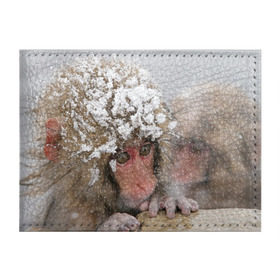 Обложка для студенческого билета с принтом Обезьянка и зима в Санкт-Петербурге, натуральная кожа | Размер: 11*8 см; Печать на всей внешней стороне | бабуин | гамадрил | гиббон | горилла | гуманоид | дарвин | животное | зоопарк | кинг конг | мартышка | маугли | обезьяна | орангутанг | предок | примат | рожа | хомо сапиенс | шимпанзе