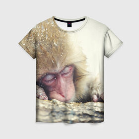Женская футболка 3D с принтом Обезьянка спит в Санкт-Петербурге, 100% полиэфир ( синтетическое хлопкоподобное полотно) | прямой крой, круглый вырез горловины, длина до линии бедер | бабуин | животное | обезьяна | орангутанг | примат