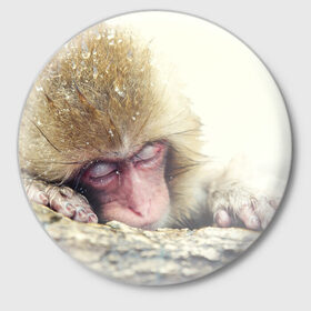 Значок с принтом Обезьянка спит в Санкт-Петербурге,  металл | круглая форма, металлическая застежка в виде булавки | Тематика изображения на принте: бабуин | животное | обезьяна | орангутанг | примат