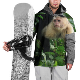 Накидка на куртку 3D с принтом Обезьянка в джунглях в Санкт-Петербурге, 100% полиэстер |  | бабуин | гамадрил | гиббон | горилла | гуманоид | дарвин | животное | зоопарк | кинг конг | мартышка | маугли | обезьяна | орангутанг | предок | примат | рожа | хомо сапиенс | шимпанзе