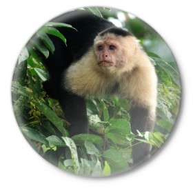 Значок с принтом Обезьянка в джунглях в Санкт-Петербурге,  металл | круглая форма, металлическая застежка в виде булавки | бабуин | гамадрил | гиббон | горилла | гуманоид | дарвин | животное | зоопарк | кинг конг | мартышка | маугли | обезьяна | орангутанг | предок | примат | рожа | хомо сапиенс | шимпанзе