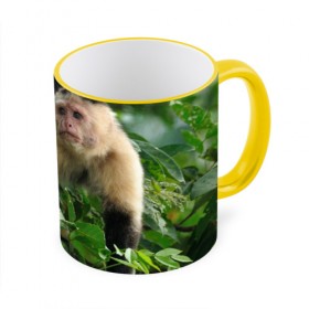 Кружка 3D с принтом Обезьянка в джунглях в Санкт-Петербурге, керамика | ёмкость 330 мл | Тематика изображения на принте: бабуин | гамадрил | гиббон | горилла | гуманоид | дарвин | животное | зоопарк | кинг конг | мартышка | маугли | обезьяна | орангутанг | предок | примат | рожа | хомо сапиенс | шимпанзе