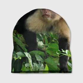 Шапка 3D с принтом Обезьянка в джунглях в Санкт-Петербурге, 100% полиэстер | универсальный размер, печать по всей поверхности изделия | Тематика изображения на принте: бабуин | гамадрил | гиббон | горилла | гуманоид | дарвин | животное | зоопарк | кинг конг | мартышка | маугли | обезьяна | орангутанг | предок | примат | рожа | хомо сапиенс | шимпанзе