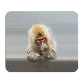 Коврик прямоугольный с принтом Японская макака в Санкт-Петербурге, натуральный каучук | размер 230 х 185 мм; запечатка лицевой стороны | макак | мартышка | обезьяна | палец | япония