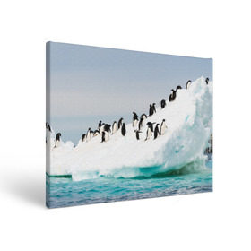 Холст прямоугольный с принтом Пингвины на айсберге в Санкт-Петербурге, 100% ПВХ |  | Тематика изображения на принте: айсберг | антарктида | антарктика | арктика | буревестник | глупый | императорский | клюв | королевский | крылья | ласты | лёд | линукс | океан | пилигрим | полюс | птица | север | снег | умка | фрак
