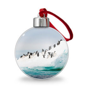 Ёлочный шар с принтом Пингвины на айсберге в Санкт-Петербурге, Пластик | Диаметр: 77 мм | айсберг | антарктида | антарктика | арктика | буревестник | глупый | императорский | клюв | королевский | крылья | ласты | лёд | линукс | океан | пилигрим | полюс | птица | север | снег | умка | фрак