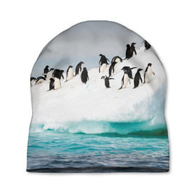 Шапка 3D с принтом Пингвины на айсберге в Санкт-Петербурге, 100% полиэстер | универсальный размер, печать по всей поверхности изделия | айсберг | антарктида | антарктика | арктика | буревестник | глупый | императорский | клюв | королевский | крылья | ласты | лёд | линукс | океан | пилигрим | полюс | птица | север | снег | умка | фрак