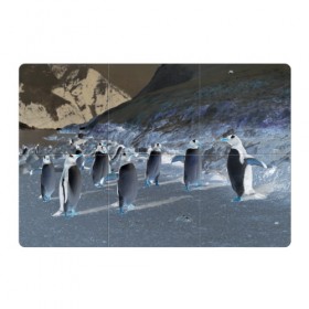Магнитный плакат 3Х2 с принтом Ночные пингвины в горах в Санкт-Петербурге, Полимерный материал с магнитным слоем | 6 деталей размером 9*9 см | 