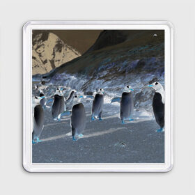 Магнит 55*55 с принтом Ночные пингвины в горах в Санкт-Петербурге, Пластик | Размер: 65*65 мм; Размер печати: 55*55 мм | 