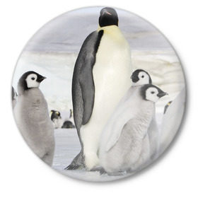Значок с принтом Пингвин и пингвинята в Санкт-Петербурге,  металл | круглая форма, металлическая застежка в виде булавки | Тематика изображения на принте: айсберг | антарктида | антарктика | арктика | буревестник | глупый | императорский | клюв | королевский | крылья | ласты | лёд | линукс | океан | пилигрим | полюс | птица | север | снег | умка | фрак