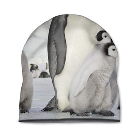 Шапка 3D с принтом Пингвин и пингвинята в Санкт-Петербурге, 100% полиэстер | универсальный размер, печать по всей поверхности изделия | айсберг | антарктида | антарктика | арктика | буревестник | глупый | императорский | клюв | королевский | крылья | ласты | лёд | линукс | океан | пилигрим | полюс | птица | север | снег | умка | фрак