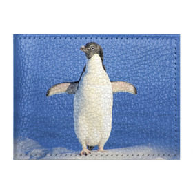 Обложка для студенческого билета с принтом Пингвин в Санкт-Петербурге, натуральная кожа | Размер: 11*8 см; Печать на всей внешней стороне | айсберг | антарктида | антарктика | арктика | буревестник | глупый | императорский | клюв | королевский | крылья | ласты | лёд | линукс | океан | пилигрим | полюс | птица | север | снег | умка | фрак