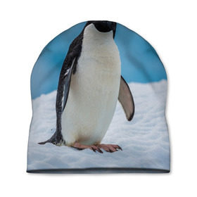Шапка 3D с принтом Пингвин на айсберге в Санкт-Петербурге, 100% полиэстер | универсальный размер, печать по всей поверхности изделия | айсберг | антарктида | антарктика | арктика | буревестник | глупый | императорский | клюв | королевский | крылья | ласты | лёд | линукс | океан | пилигрим | полюс | птица | север | снег | умка | фрак