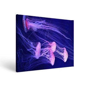 Холст прямоугольный с принтом Розовые медузы в Санкт-Петербурге, 100% ПВХ |  | Тематика изображения на принте: аквариум | вода | дайвинг | милые | море | океан | плывет | подводный мир | рыбалка | рыбка | рыбы | стая | фауна