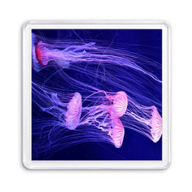 Магнит 55*55 с принтом Розовые медузы в Санкт-Петербурге, Пластик | Размер: 65*65 мм; Размер печати: 55*55 мм | Тематика изображения на принте: аквариум | вода | дайвинг | милые | море | океан | плывет | подводный мир | рыбалка | рыбка | рыбы | стая | фауна
