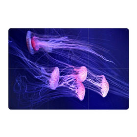 Магнитный плакат 3Х2 с принтом Розовые медузы в Санкт-Петербурге, Полимерный материал с магнитным слоем | 6 деталей размером 9*9 см | Тематика изображения на принте: аквариум | вода | дайвинг | милые | море | океан | плывет | подводный мир | рыбалка | рыбка | рыбы | стая | фауна