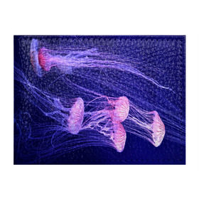 Обложка для студенческого билета с принтом Розовые медузы в Санкт-Петербурге, натуральная кожа | Размер: 11*8 см; Печать на всей внешней стороне | аквариум | вода | дайвинг | милые | море | океан | плывет | подводный мир | рыбалка | рыбка | рыбы | стая | фауна